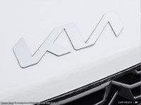 Straightline Kia Packagae: Block Heater, Wheel Locks, $3,000 Security Etch, 1st Oil Change, Professi... (image 8)