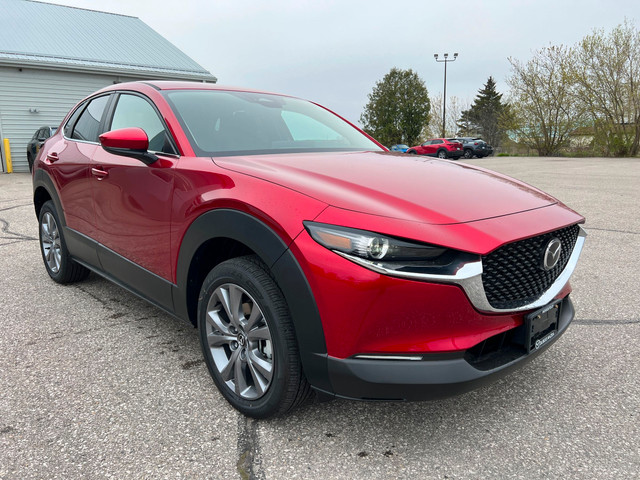 2024 Mazda CX-30 GS in Cars & Trucks in Woodstock - Image 3