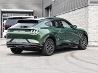 Please refer to https://taylorfordsales.com/new-inventory/ for up to date pricing breakdowns and pic... (image 3)