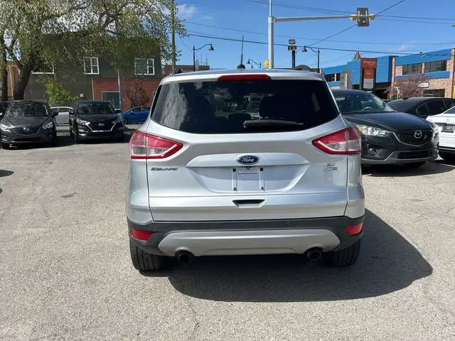 2014 Ford Escape SE62863213494913124
