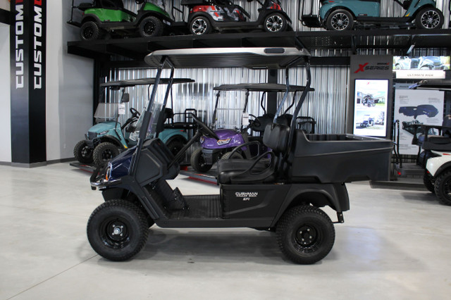 2024 Cushman HAULER 800X - Gas EFI Golf Cart in Travel Trailers & Campers in Trenton - Image 2