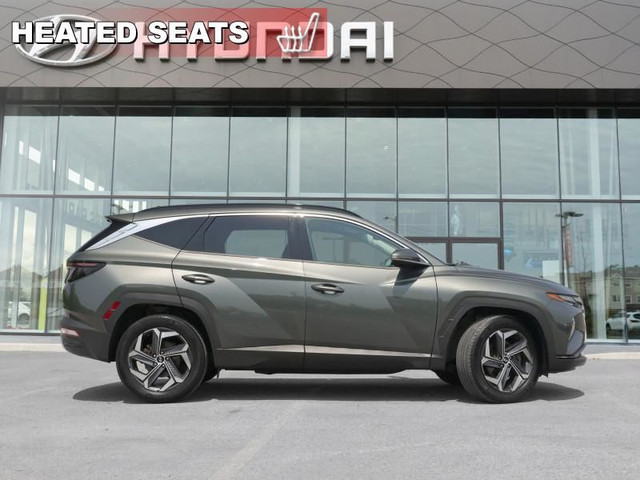 2022 Hyundai Tucson Hybrid Luxury - Cooled Seats in Cars & Trucks in Ottawa - Image 2
