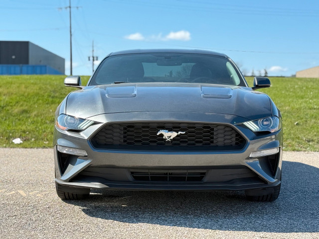 2020 Ford Mustang EcoBoost Fastback in Cars & Trucks in Mississauga / Peel Region - Image 2
