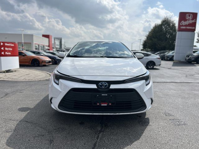 2024 Toyota Corolla Hybrid LE in Cars & Trucks in Hamilton - Image 2