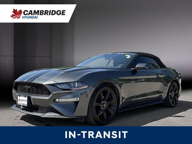2019 Ford Mustang Convertible | Automatic | Turbocharged | in Cars & Trucks in Cambridge