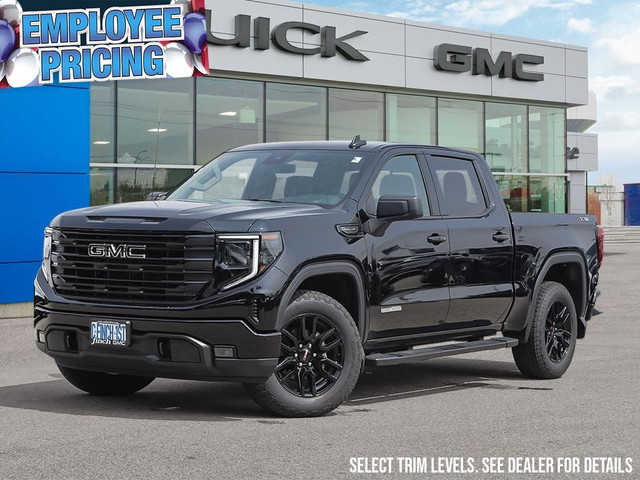 2025 GMC Sierra 1500 Elevation in Cars & Trucks in London