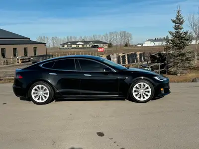 2016 Tesla Model S Hail damage
