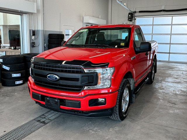 2019 Ford F-150 in Cars & Trucks in Prince Albert - Image 3