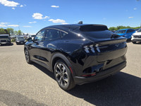 This Brand New SHADOW BLACK 2024 FORD MUSTANG MACH-E SELECT is powered by a 72KWH USABLE STANDARD LF... (image 9)