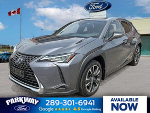 2021 Lexus UX UX 250h