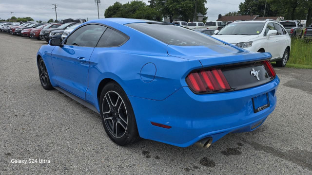 2017 Ford Mustang V6 in Cars & Trucks in London - Image 2