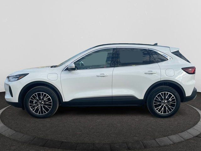 2025 Ford Escape PHEV in Cars & Trucks in Regina - Image 2