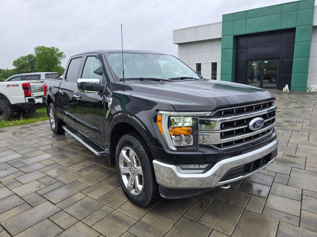 2023 Ford F-150 in Cars & Trucks in Ottawa - Image 3