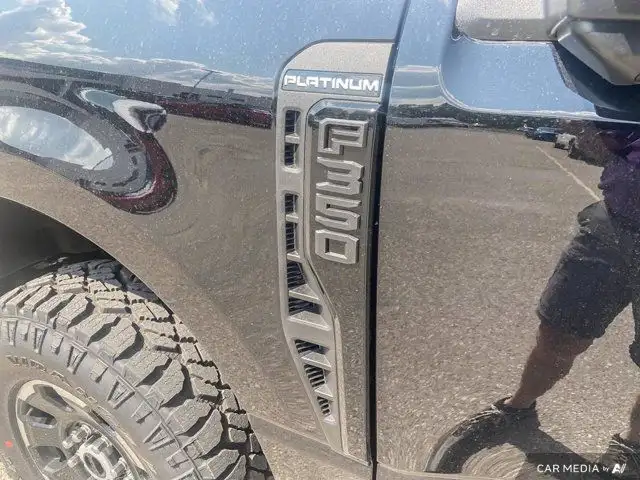 2025 Ford Super Duty F-350 SRW Platinum in Cars & Trucks in Brandon - Image 30