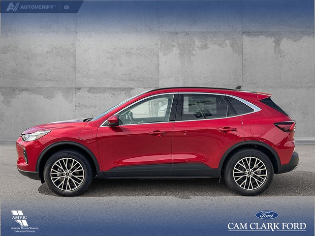 2025 Ford Escape PHEV in Cars & Trucks in Red Deer - Image 4