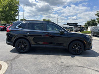 Come visit our Sterling Honda team, you can find us at 1495 Upper James Street, Hamilton, ON L9B 1K2... (image 3)