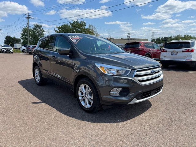 2019 Ford Escape SE 4WD - Heated Seats - Android Auto - $176 B/W in Cars & Trucks in Moncton - Image 3