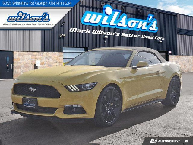 2016 Ford Mustang EcoBoost Premium | Leather | Nav in Cars & Trucks in Guelph