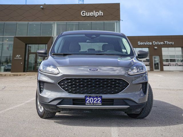 2022 Ford Escape SE AWD | Heated Seats | Apple CarPlay | in Cars & Trucks in Guelph - Image 2