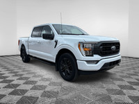 302A PACKAGE, HEATED SEATS, REMOTE START, 3.5L ECOBOOST, AUTOMATIC CLIMATE CONTROL We BUY, We SELL,... (image 4)