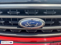 2021 Ford F-150 XLT 4X4 Red GROUP 302A FORD CO-PILOT 360 ASSIST 3.55 RATIO REGULAR AXLE NAVIGATION T... (image 7)