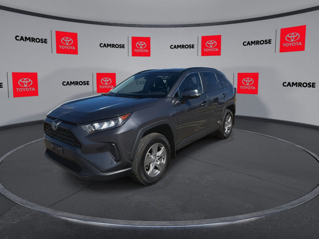 2024 Toyota RAV4 Hybrid LE - Heated Seats - Apple CarPlay in Cars & Trucks in Edmonton - Image 4