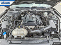 Look at this certified 2020 Ford Mustang EcoBoost Premium Coupe | 6-Speed Manual | Leather | Nav | C... (image 8)