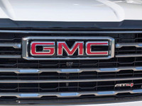 AT4 Premium Package - Technology Package - Power Panoramic Sunroof - Remote Vehicle Start *Find your... (image 8)