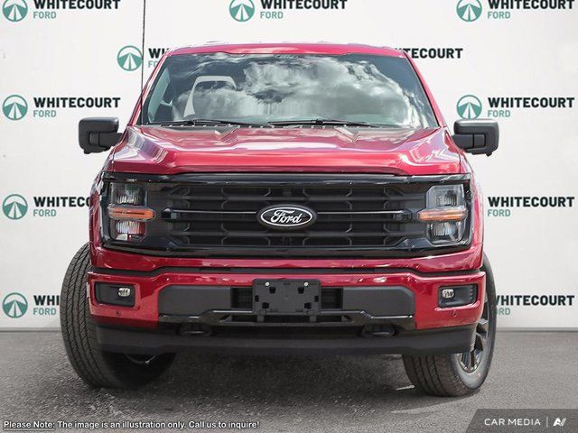 2025 Ford F-150 XLT in Cars & Trucks in Edmonton - Image 2