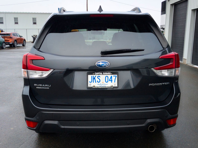 2019 Subaru Forester Limited in Cars & Trucks in St. John's - Image 4