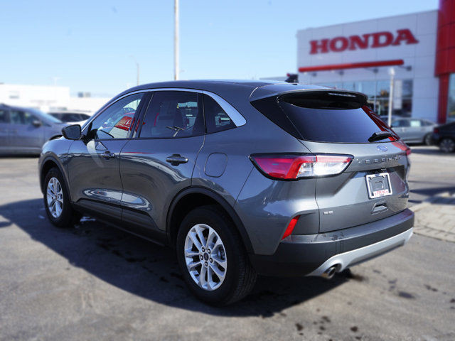 2022 Ford Escape SE | Clean CarFax in Cars & Trucks in Hamilton - Image 2