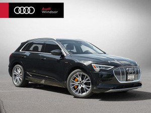 2019 Audi e-tron Technik | Navigation | Electric | Moonroof | Adaptive Suspension