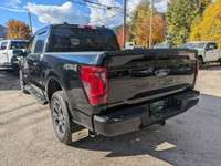Mobile Office Package, Engine Block Heater, Integrated Trailer Brake Control, Curve Control, FordPas... (image 6)