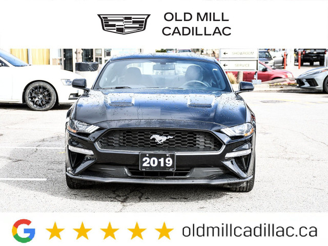 2019 Ford Mustang EcoBoost Premium CLEAN CARFAX | ONE OWNER in Cars & Trucks in City of Toronto - Image 4