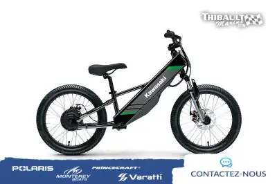 KAWASAKI ELEKTRODE 20 2025 Vous cherchez l'expérience ultime ? Que vous soyez un amateur de tourisme...