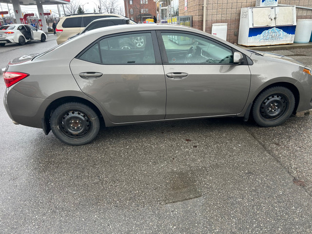 2019 Toyota Corolla LE in Cars & Trucks in Mississauga / Peel Region - Image 3