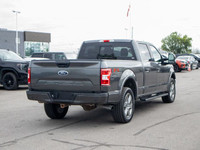 The 2019 Ford F-150 is a full-size pickup that delivers serious capability, a wide range of powertra... (image 7)