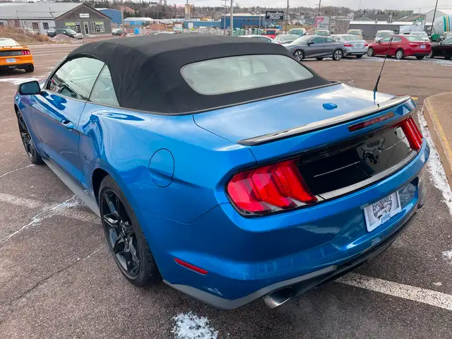 2019 Ford Mustang EcoBoost Premium Heated Seats, Backup Camera in Cars & Trucks in Charlottetown - Image 10