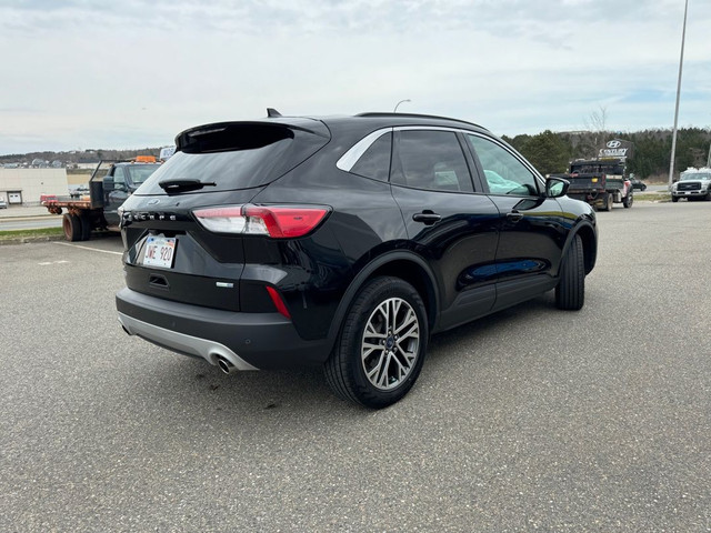  2020 Ford Escape SEL in Cars & Trucks in Saint John - Image 3