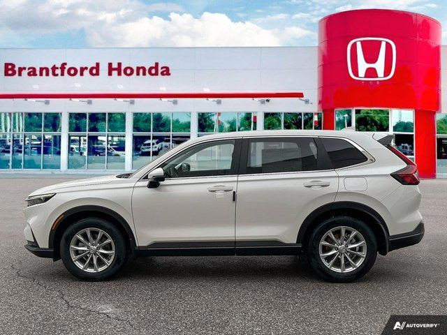  2024 Honda CR-V EX-L in Cars & Trucks in Brantford - Image 2