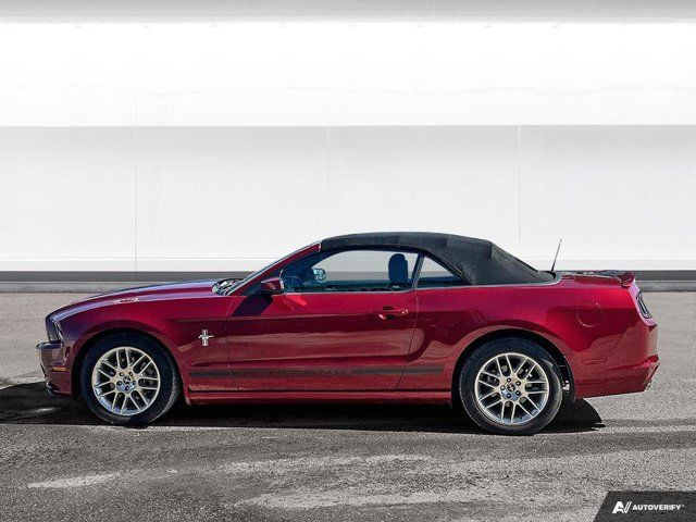 2014 Ford Mustang Premium 3.7L RWD | Low Kilometers  in Cars & Trucks in Winnipeg - Image 2