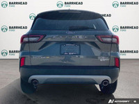 Cold Weather Package, Heated Seats, Heated Steering, Remote Start, Back-Up Camera, Bluetooth Connect... (image 4)