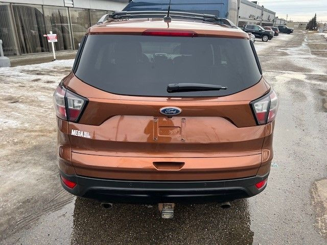 2017 Ford Escape in Cars & Trucks in Edmonton - Image 4