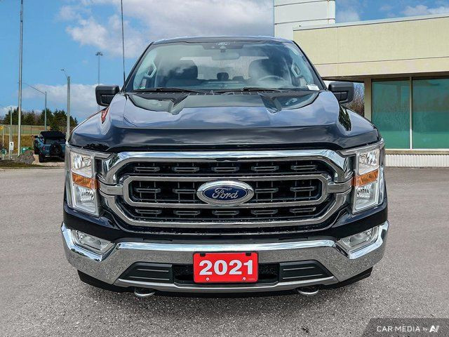 2021 Ford F-150 XLT in Cars & Trucks in Kitchener / Waterloo - Image 3