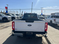 2023 Ford Super Duty F-350 SRW XLT 4WD Crew Cab 8' Box, Back-Up Camera, Black Power Heated Side Mirr... (image 5)