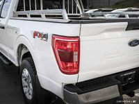 ENGINE: 5.0L V8 -inc: flex-fuel capability and auto start/stop technology 3.31 Axle Ratio GVWR: 3198... (image 5)