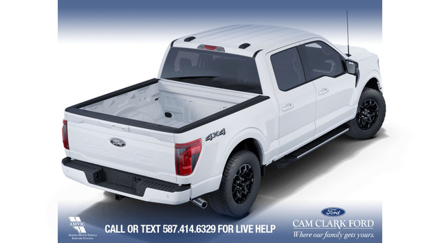 2025 Ford F-150 XLT in Cars & Trucks in Calgary - Image 4