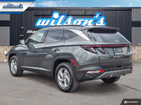 Come see this certified 2024 Hyundai Tucson Trend. Its Automatic transmission and 2.5 L engine will... (image 2)