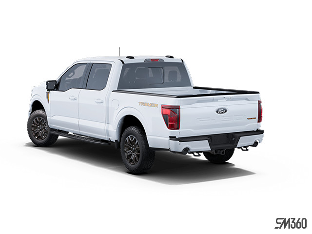 2025 Ford F-150 Tremor in Cars & Trucks in Windsor Region - Image 2