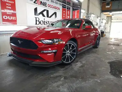  2020 Ford Mustang CONVERTIBLE BAS KILO JAMAIS ACCIDENTÉ ECOBOOS